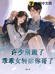 Hứa Thiếu Gia Đừng Quỳ Nữa, Gái Ngoan Đã Chuyển Sang Gả Cho Anh Trai Ngươi Rồi