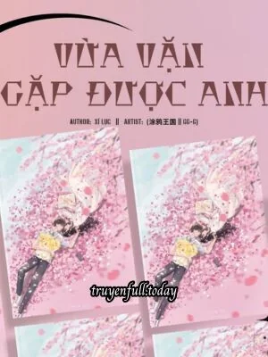 Vừa Vặn Gặp Được Anh - Xí Lục
